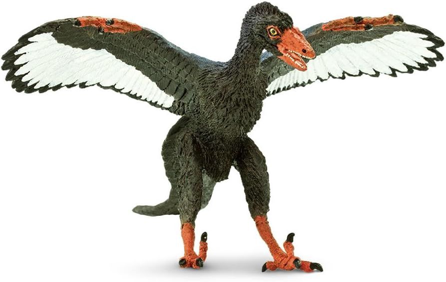 Archaeopteryx (Safari)