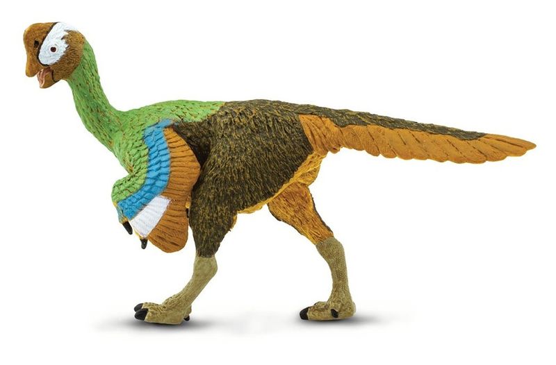 Citipati (Safari)