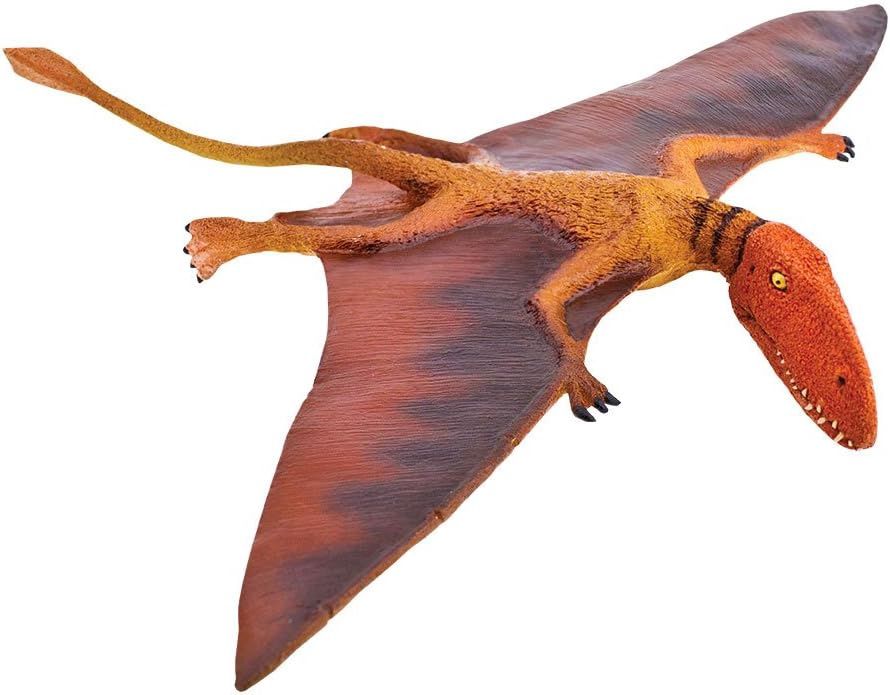 Dimorphodon (Safari)