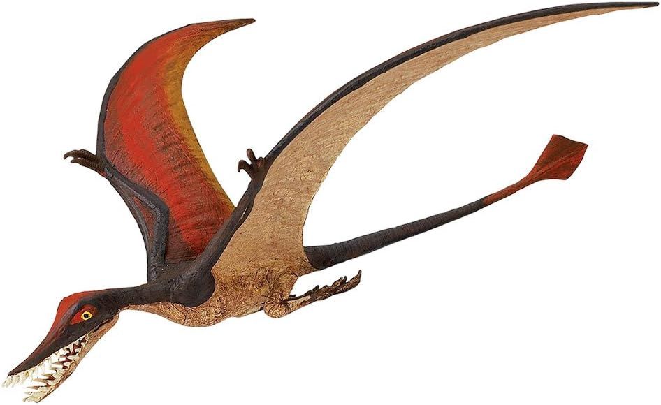 Rhamphorhynchus (Safari)