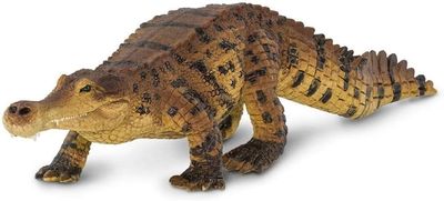 Sarcosuchus (Safari)