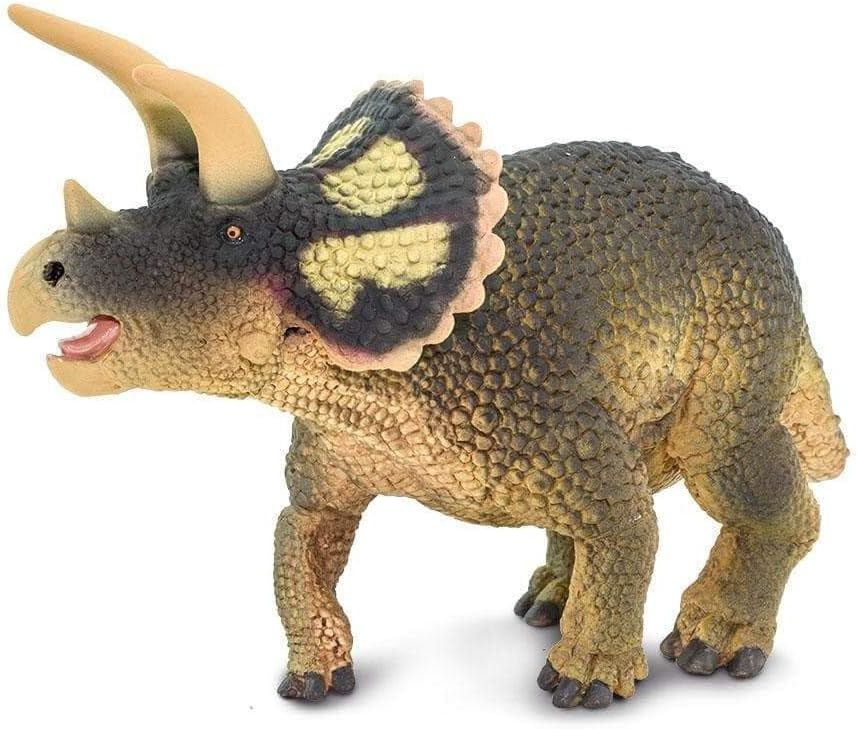 Triceratops 2017 (Safari)