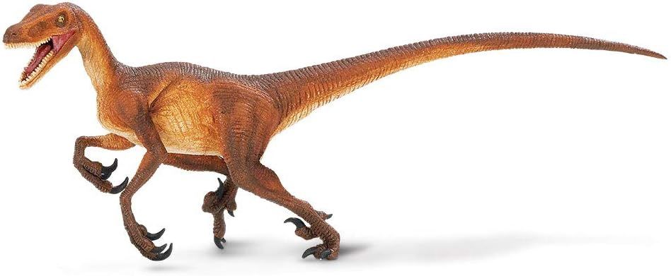 Velociraptor (Safari)