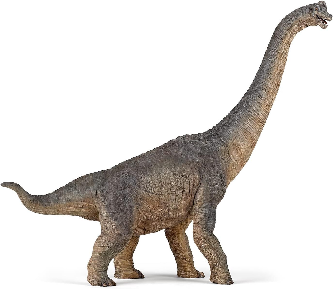 Brachiosaurus 2012(Papo)