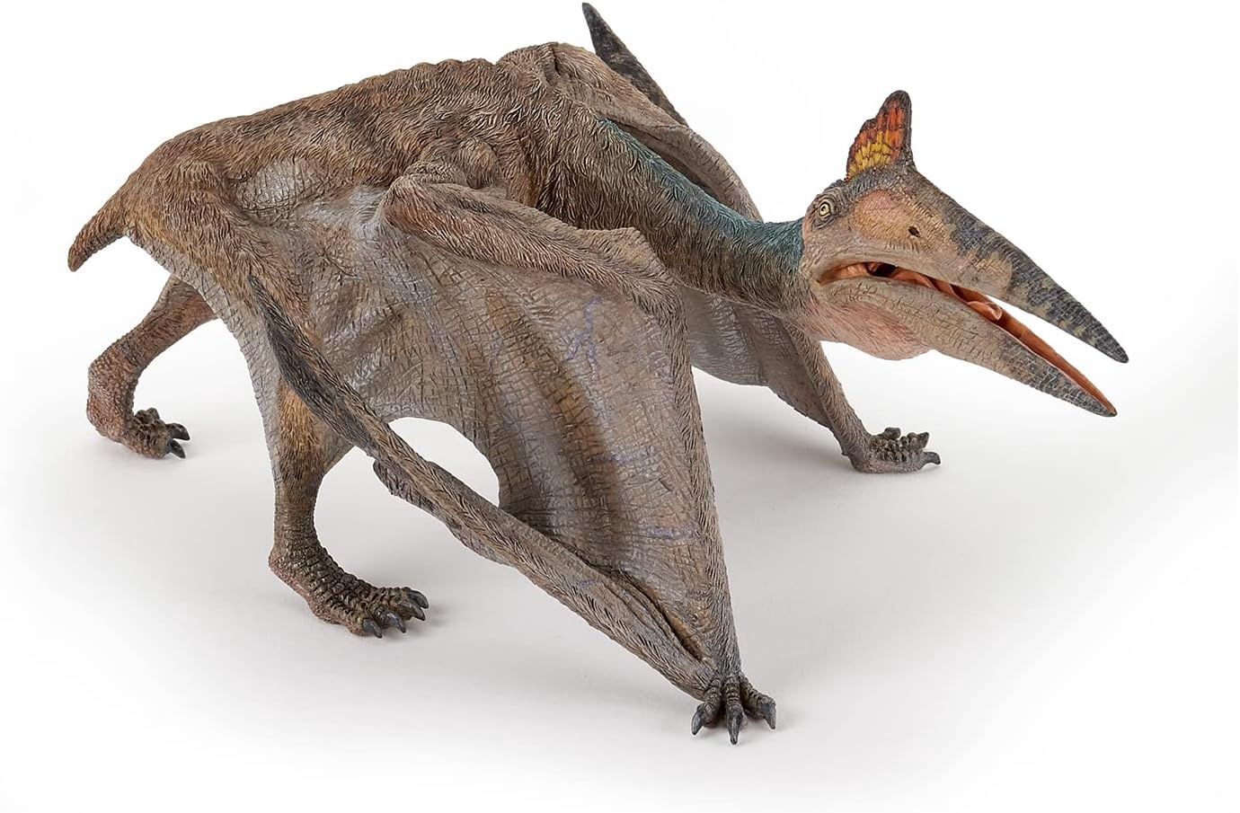 Quetzalcoaltus 2018 (Papo)