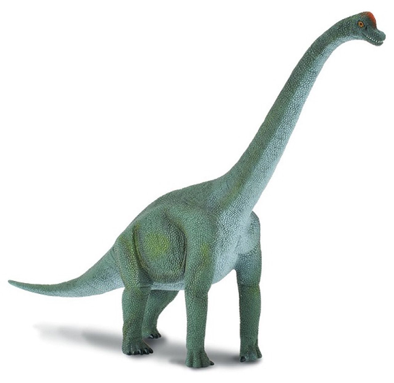 Brachiosaurus (Collecta)