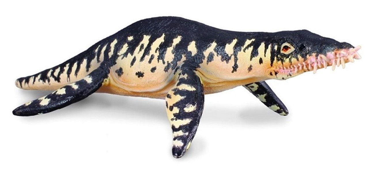 Leopleurodon (Collecta)