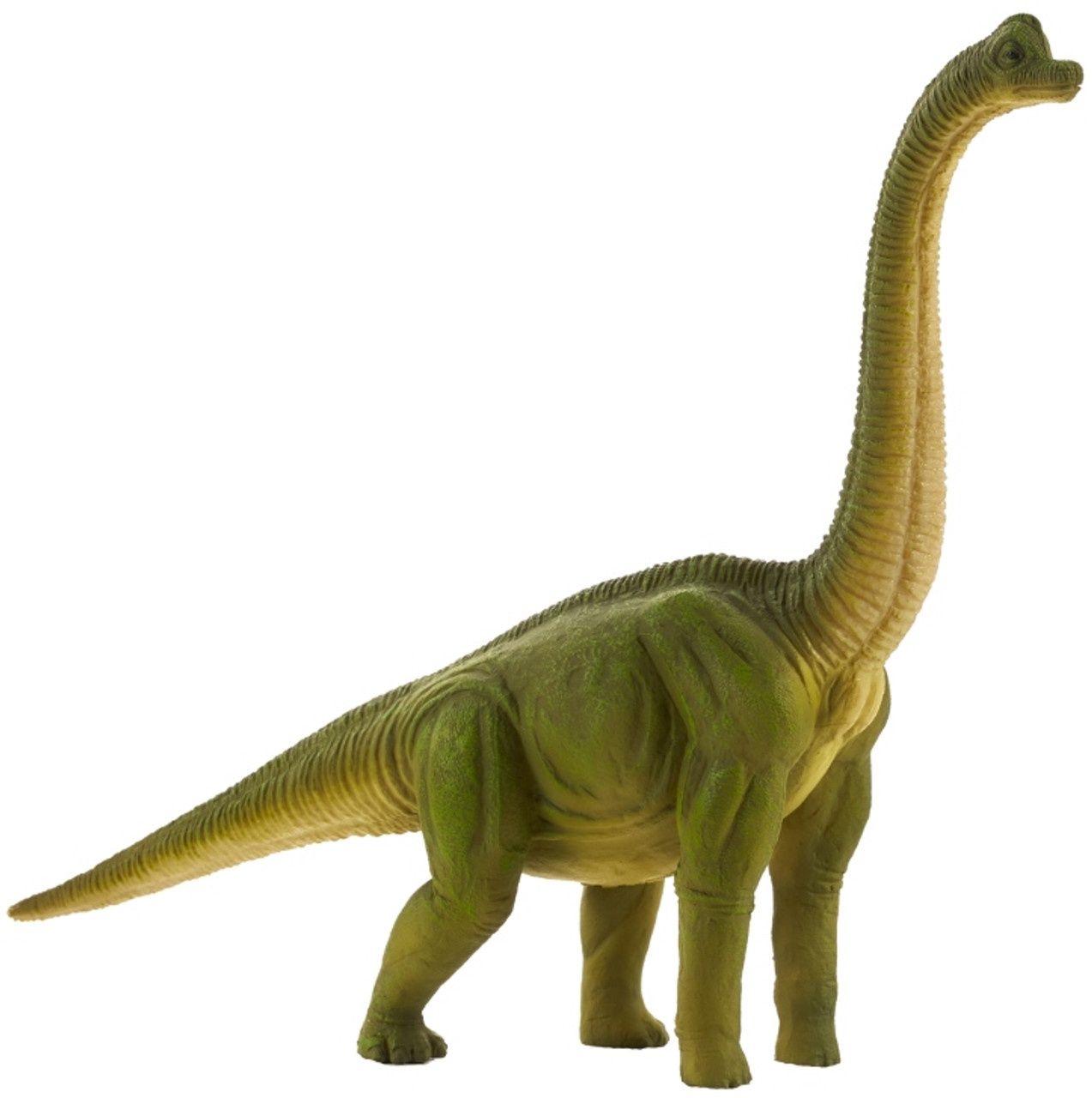 Brachiosaurus (Mojo)