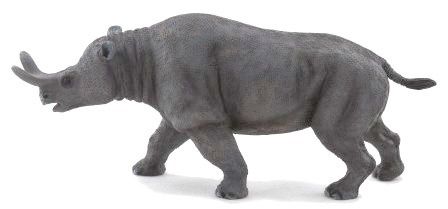 Brontotherium (Mojo)