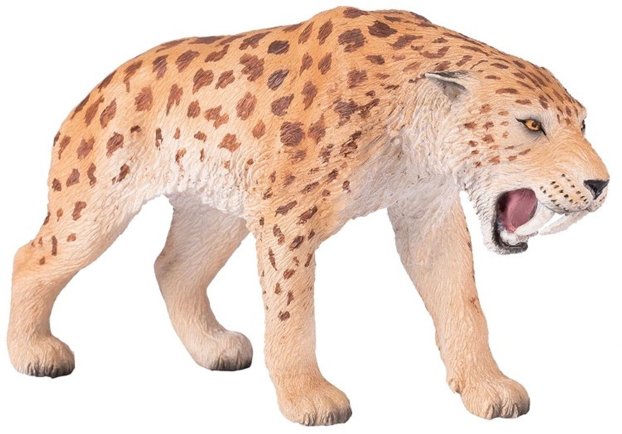 Smilodon 2022 (Mojo)