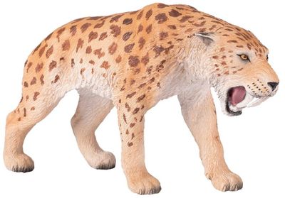 Smilodon 2022 (Mojo)