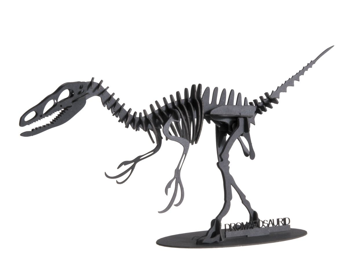 3D Paper Model - Dromaeosaurus