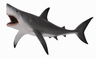 CollectA Great White Shark figurine – detailed, hand-painted predator toy with open jaws and sleek body for ocean exploration and educational play