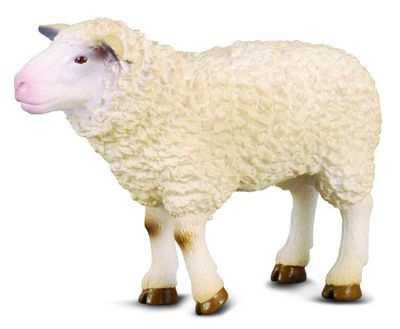 CollectA Sheep figurine – lifelike, hand-painted farm animal toy with textured wool for educational play and rural scene displays