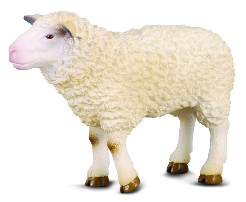 CollectA Sheep figurine – lifelike, hand-painted farm animal toy with textured wool for educational play and rural scene displays