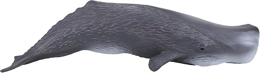 Sperm Whale