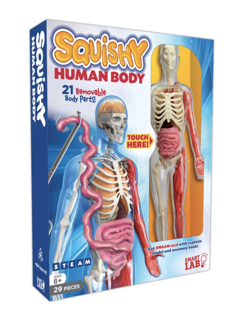Squishy Human Body