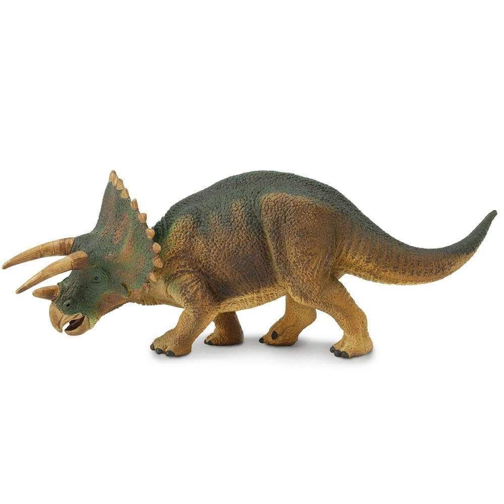 Triceratops (Safari)