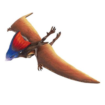 Tapejara (Safari)