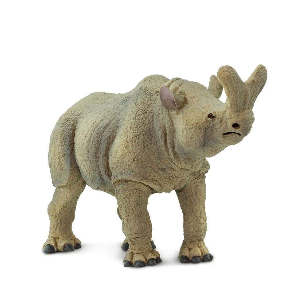 Megacerops (Safari)