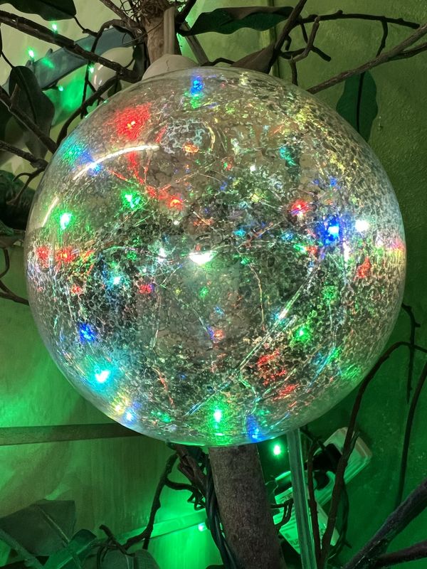 Globe Light Bulb