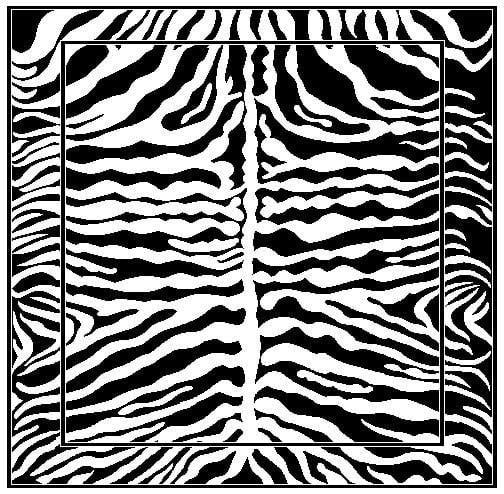 African Adventure Zebra Black and White 5x7