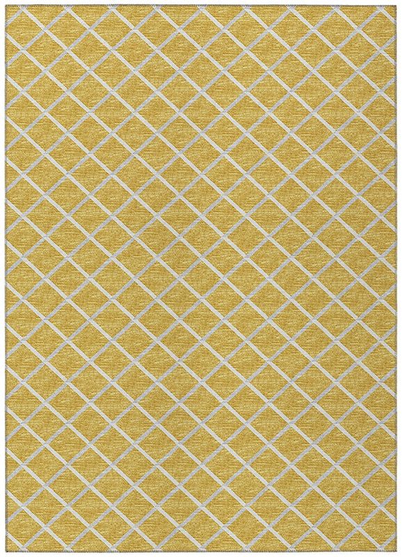 York YO1 Gold 5x7