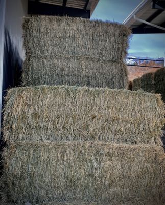Big Bales