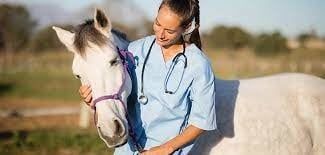 Equine Healthcare