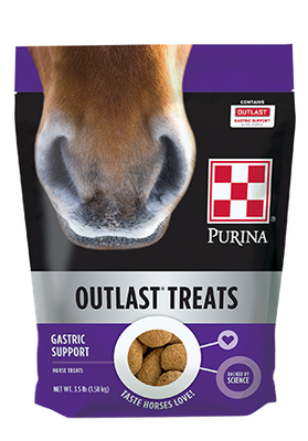 Equine-Outlast Treats