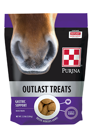 Equine-Outlast Treats