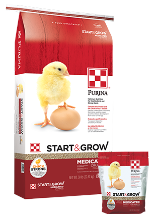 Chickens-Start &amp; Grow Medicated  Crumbles 25lbs