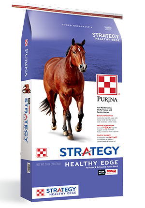 Equine-Strategy Healthy Edge