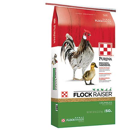 Chickens-Flock Raiser Crumble 50lb