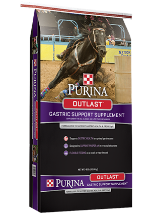 Equine-Outlast Gastric Support 40lb