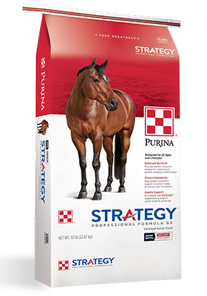 Equine - Strategy GX