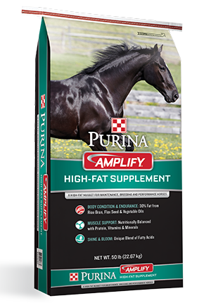 Equine-Amplify