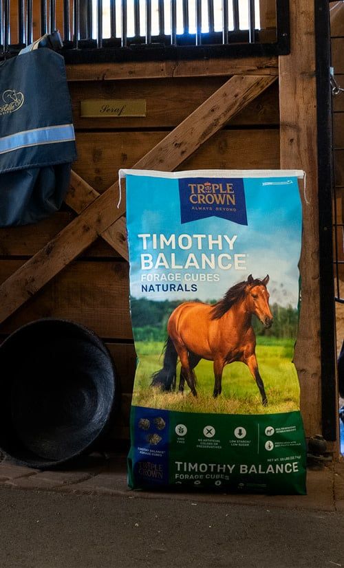 Equine-Triple Crown Timothy Bal Cubes 50lbs