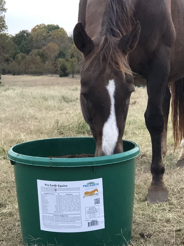 Pro Earth Zesterra 14% Equine Hanging Bucket w/ Garlic 30LB