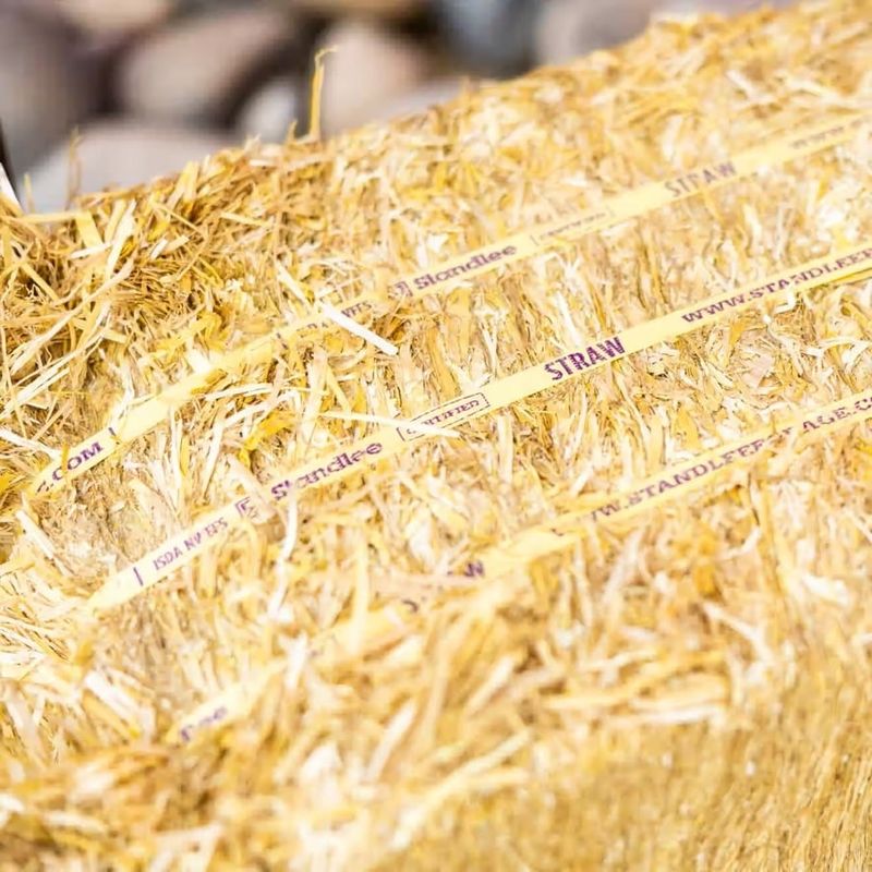 Standlee Compressed Straw Bale