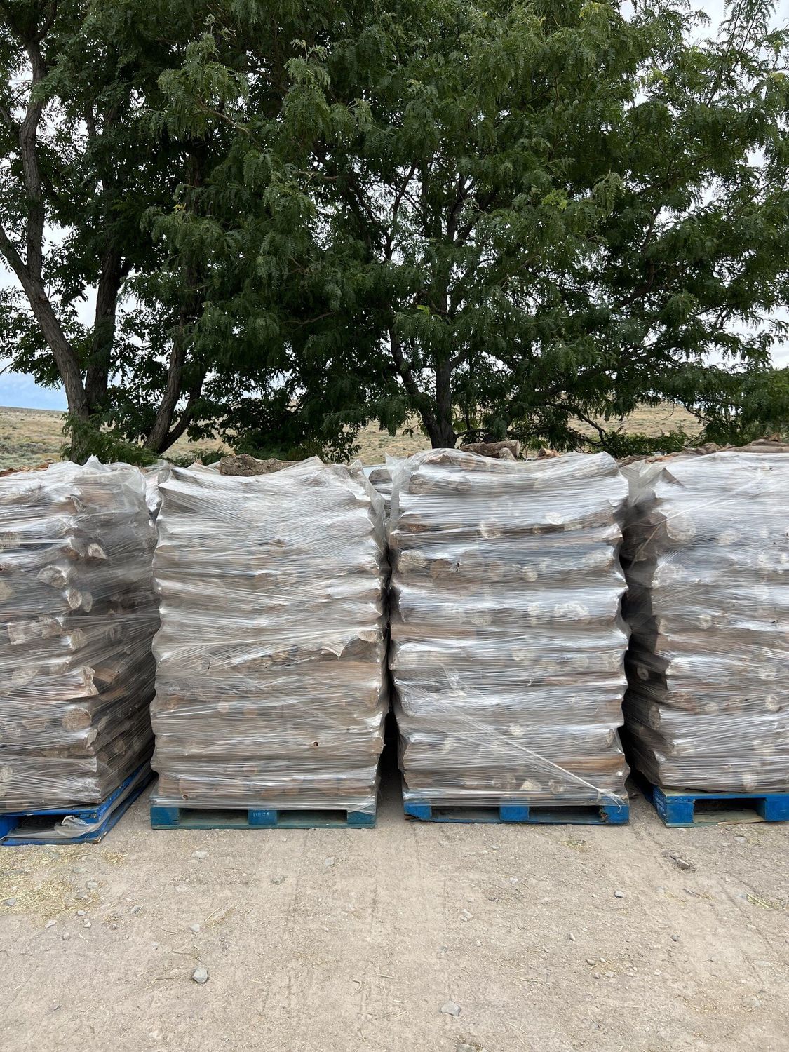 Almond23 Firewood  Approx 1/2 cord