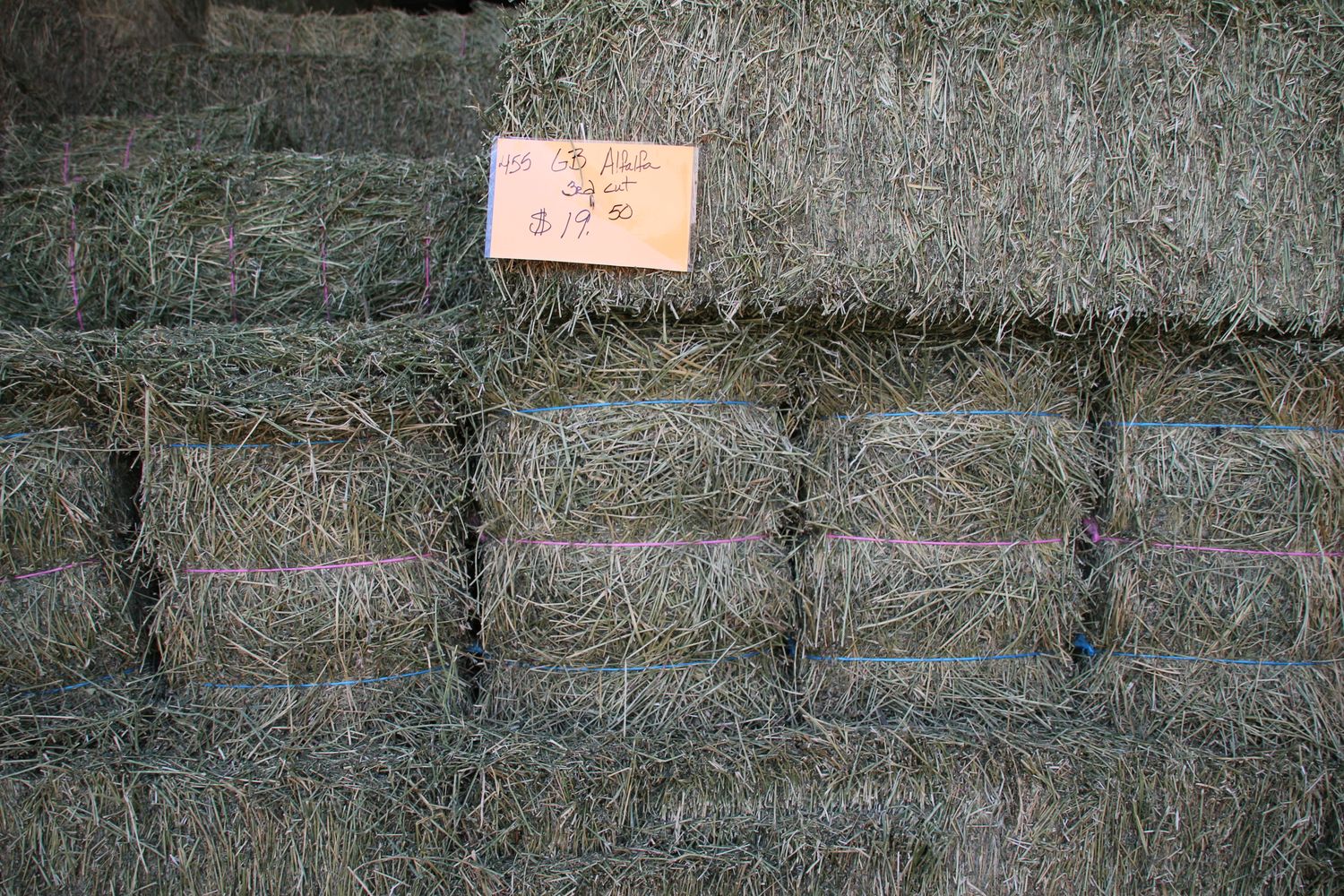 455 GB24 Alfalfa 3rd Cut