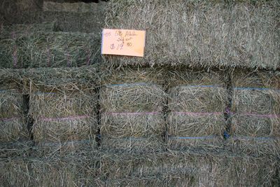 455 GB24 Alfalfa 3rd Cut