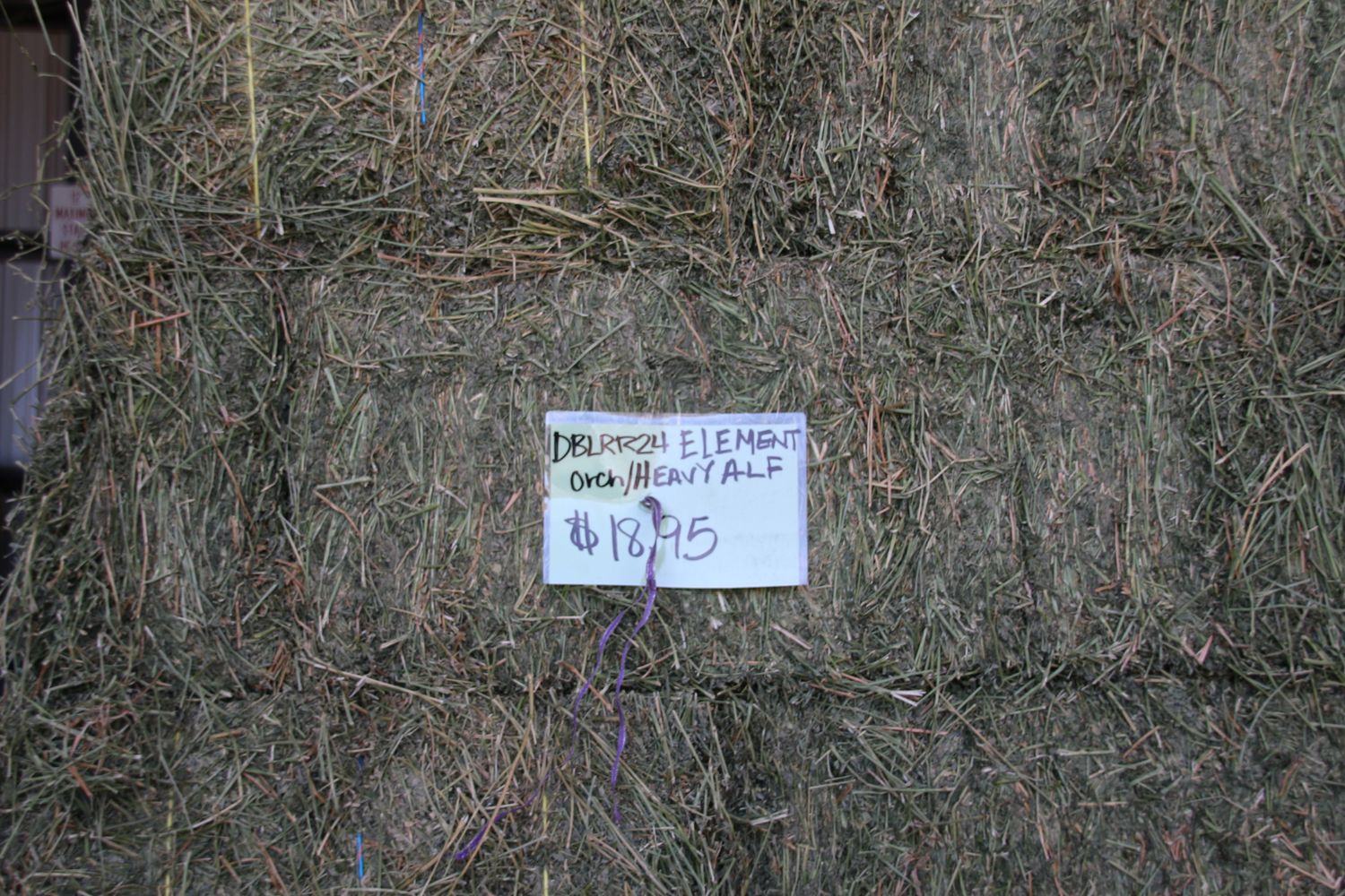 DBLRR24 Element Orchard/ HEAVY ALFALFA