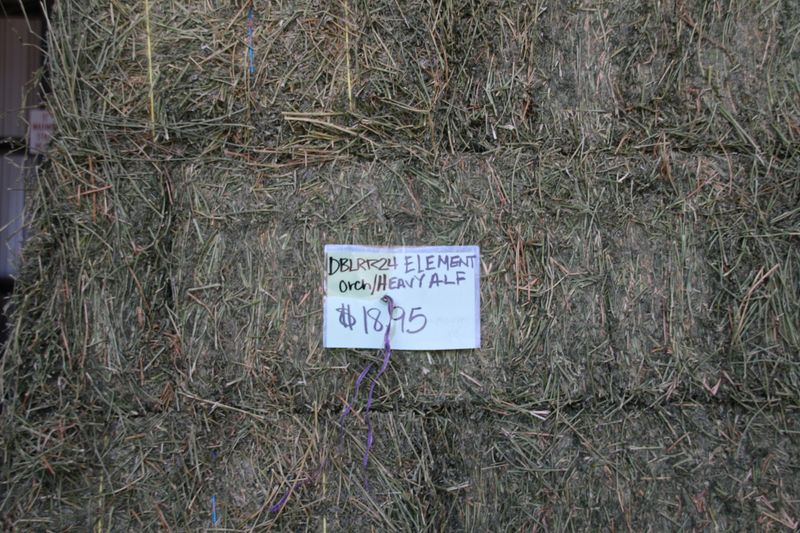 DBLRR24 Element Orchard/ HEAVY ALFALFA