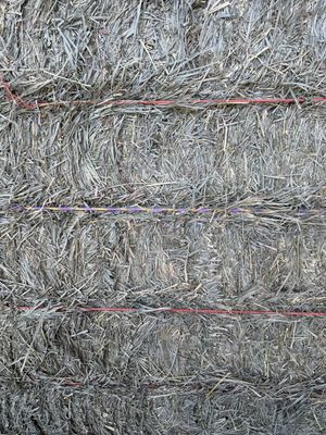 VH24 Big Bales Orchard/Alfalfa