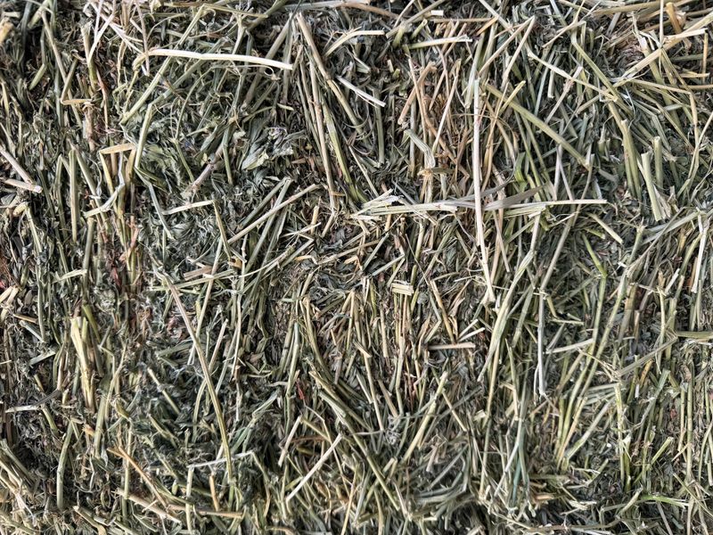 611 SB24   1st cut Orchard/Alfalfa Mix