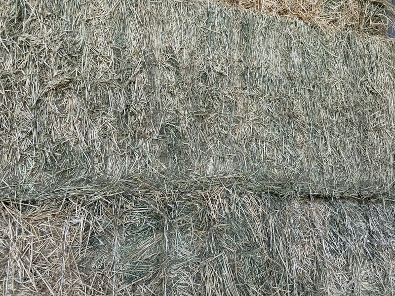 FF24 Big Bales Alfalfa 1,299lbs