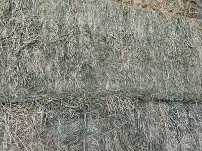 FF24 Big Bales Alfalfa 1,299lbs