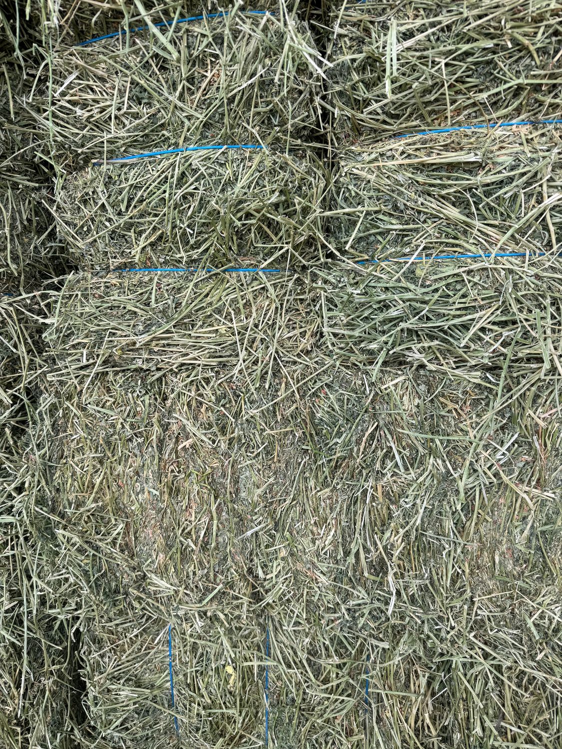 JD25 Alfalfa 1st cut